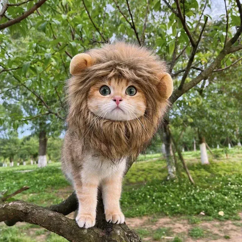 Lion Mane Pet Costume Wig Hat 5