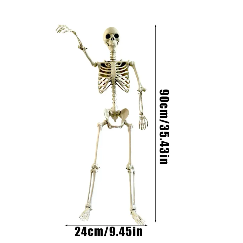 Life-Size Posable Skeleton Halloween Prop 6