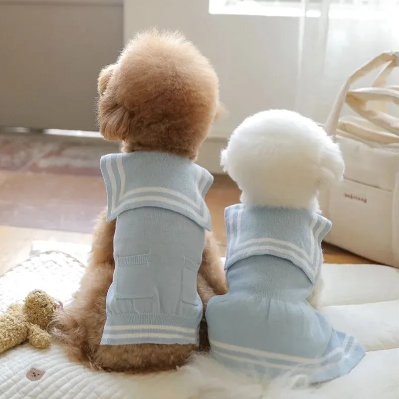 Teddy Bear Knitted Dog Sweater 1
