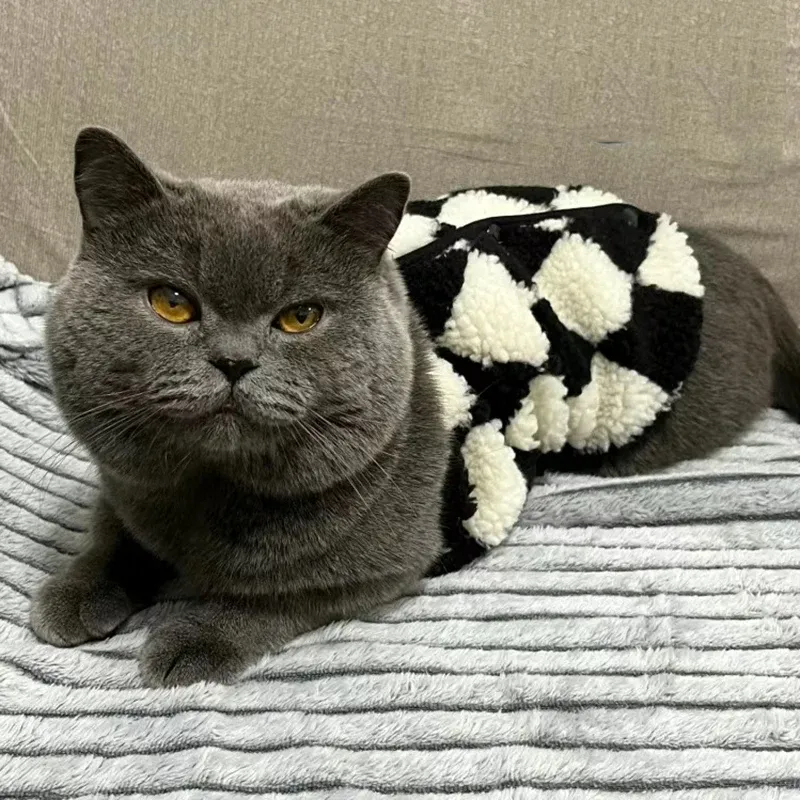 Sphynx Cat Winter Fleece Sweater 5