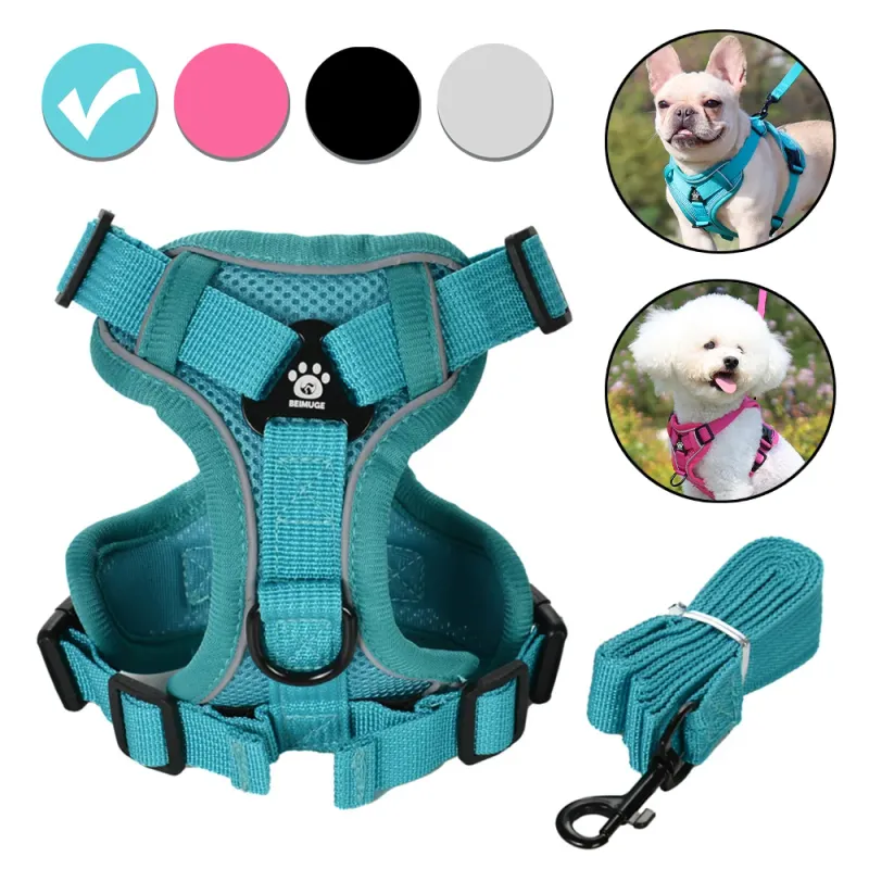 Adjustable Reflective Pet Harness & Leash Set 1