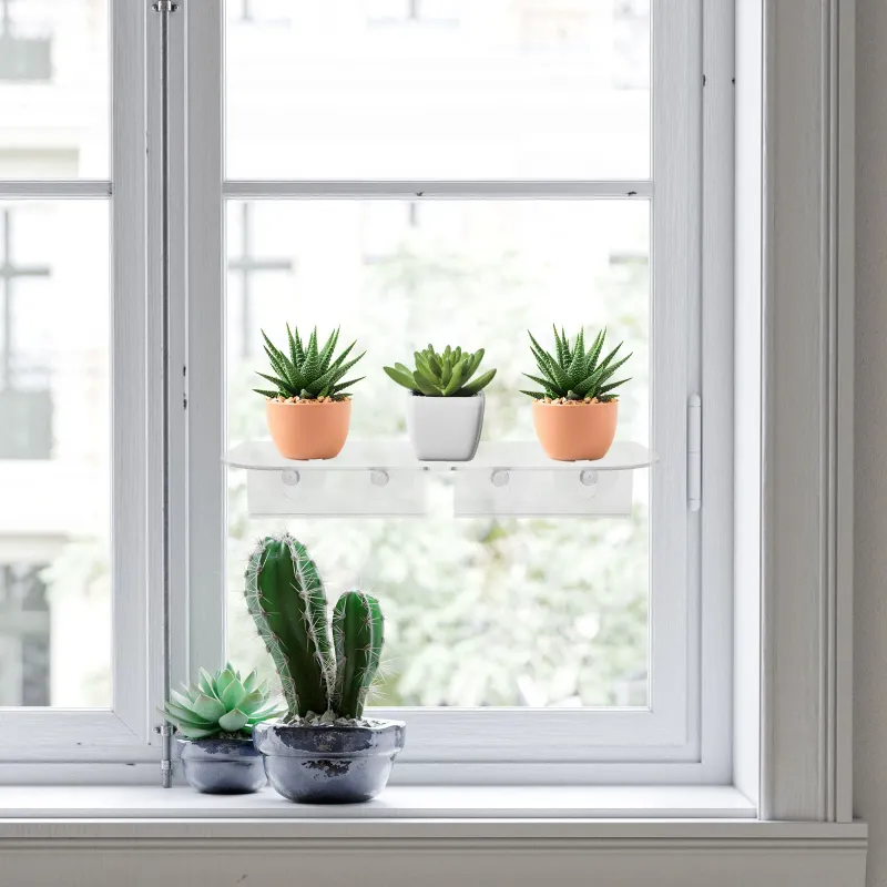 Acrylic Window Plant Shelf 4