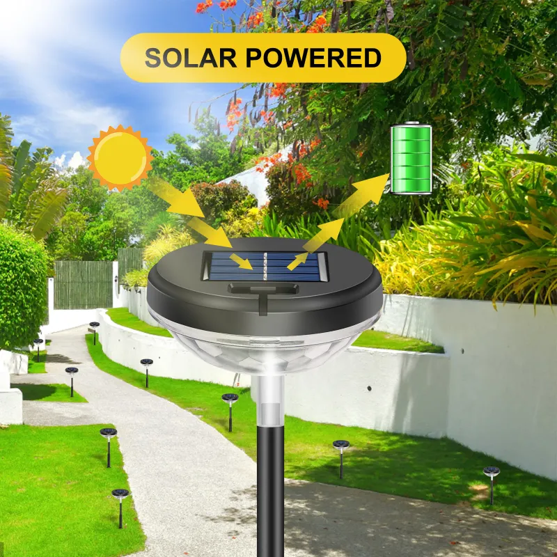 Solar LED Pathway Lights 5