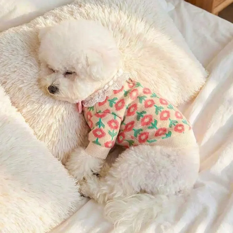 Pink Tulip Knit Pet Sweater 6