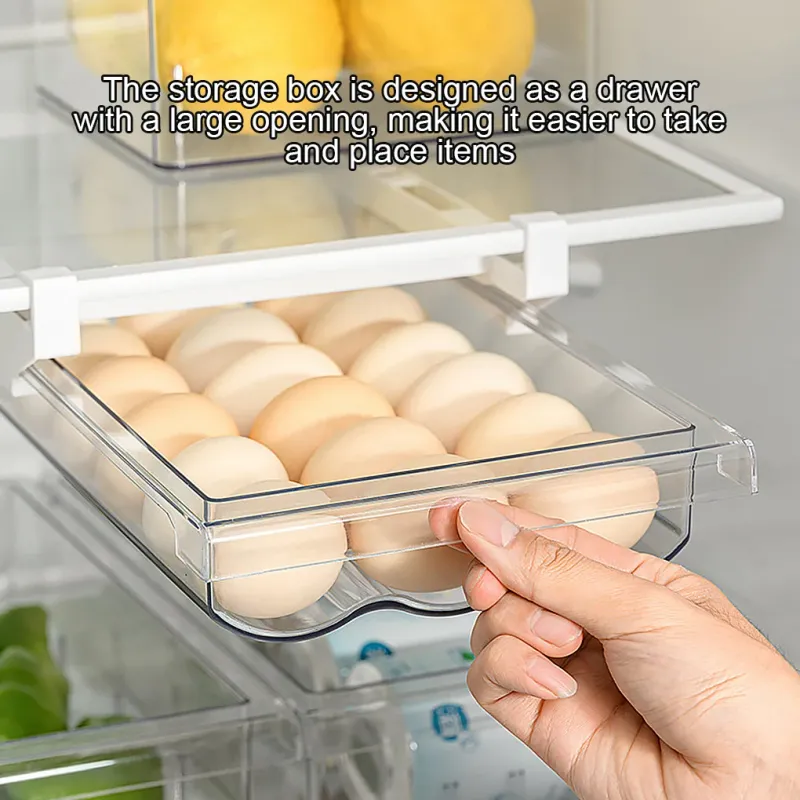 Clear Egg Storage Container 5
