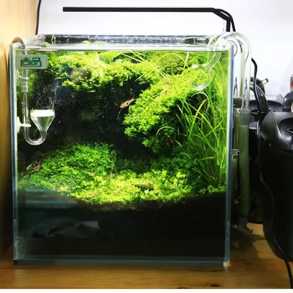 Chihiros C Series Nano Clip LED 4