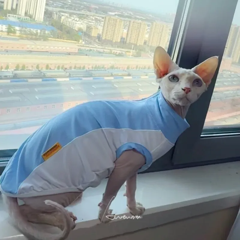 Sphynx Cat Cooling Mesh Vest 4