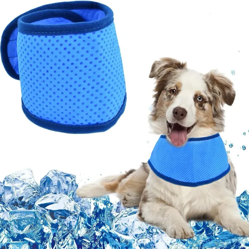 Pet Cooling Scarf for Dogs 1