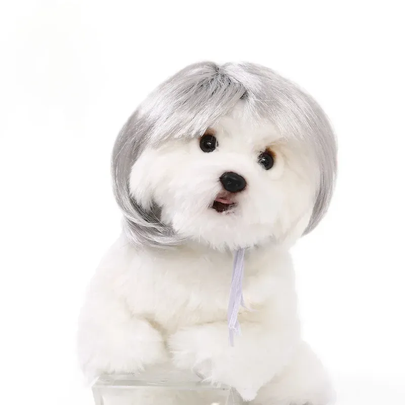Pet Wig Dog Cat Halloween Costume 3