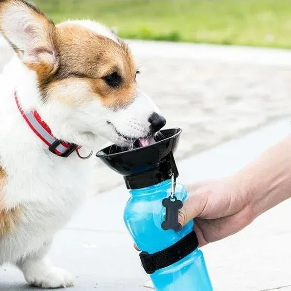 500ml Pet Travel Water Bottle Bowl 6