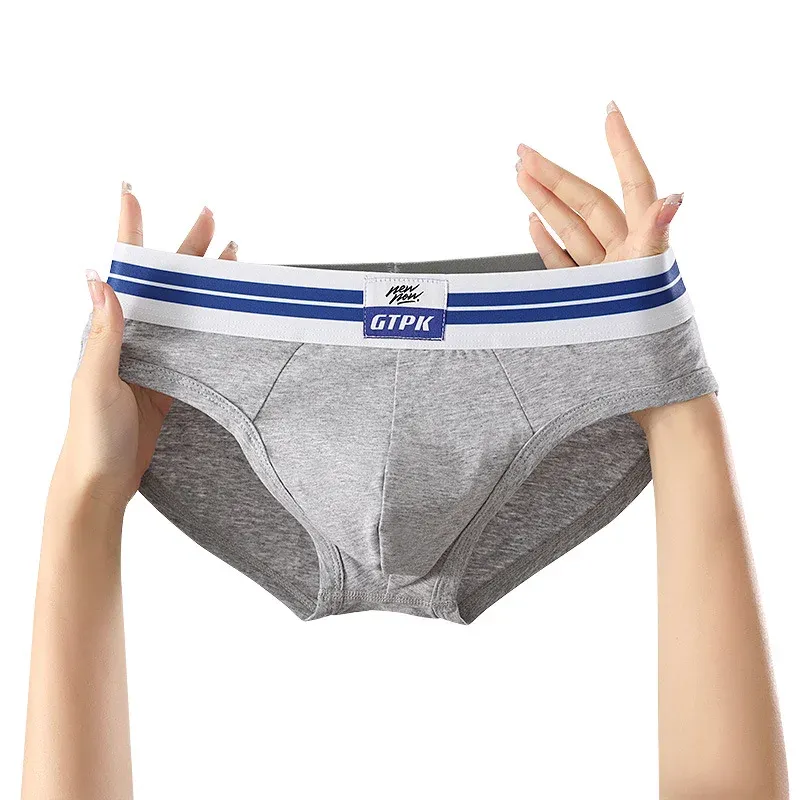 Men's Cotton Triangle Brief Underwear 4