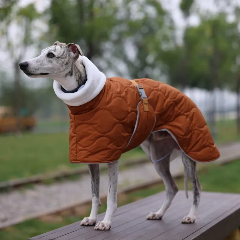 Waterproof Winter Dog Jacket with Adjustable Straps 2