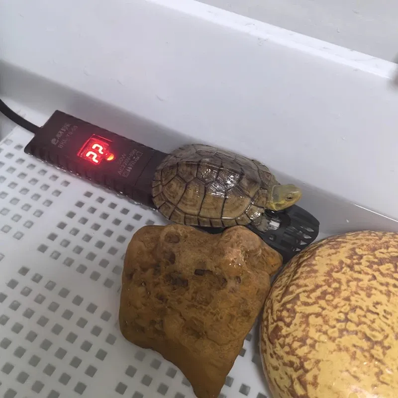 Digital LCD Aquarium Heater 220V 6