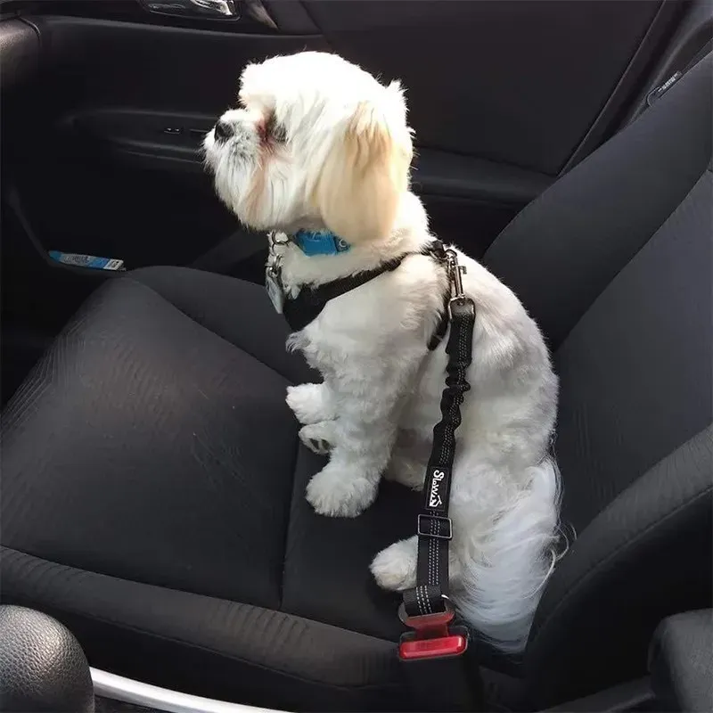 Adjustable Elastic Dog Car Seat Belt Leash 5