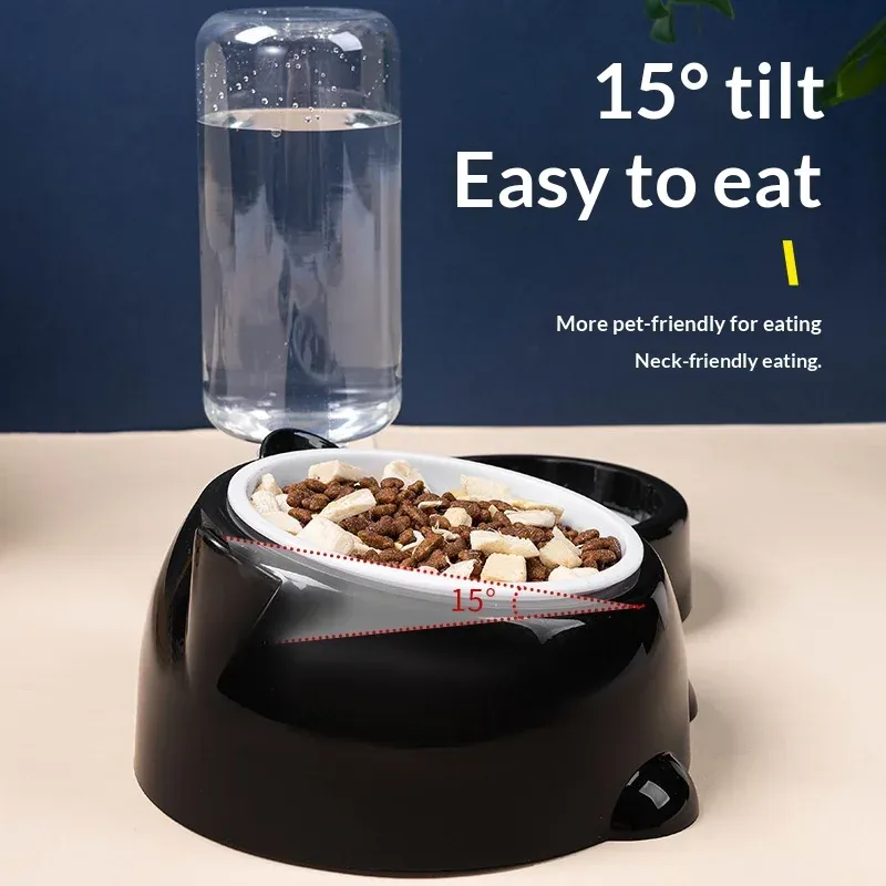 2-in-1 Tilted Elevated Pet Water & Food Bowl 1