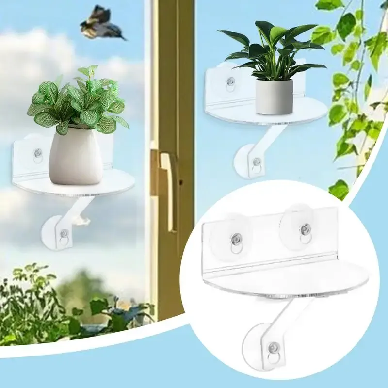 Acrylic Window Plant Shelf 3