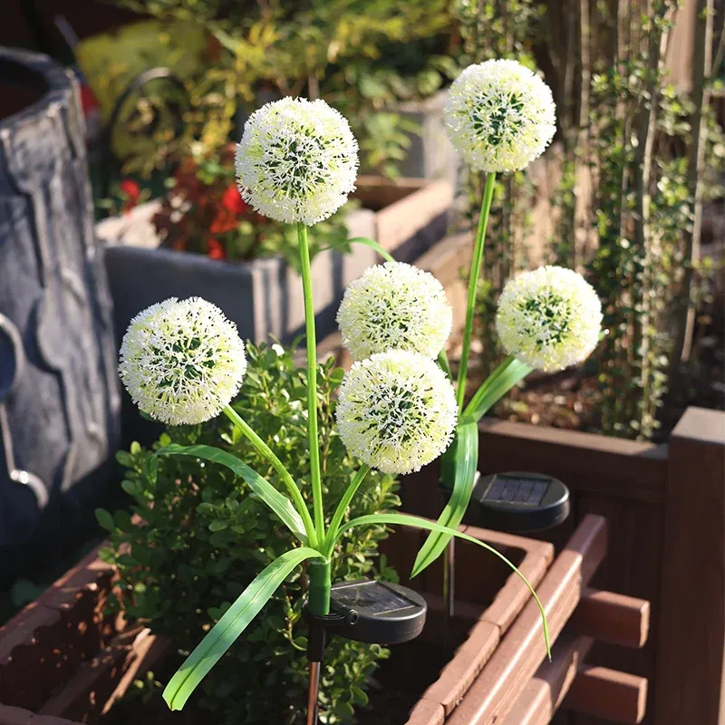Solar Dandelion Garden Lights 4