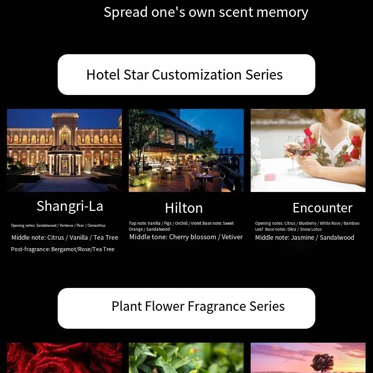 50ml Jasmine Reed Diffuser Set 3