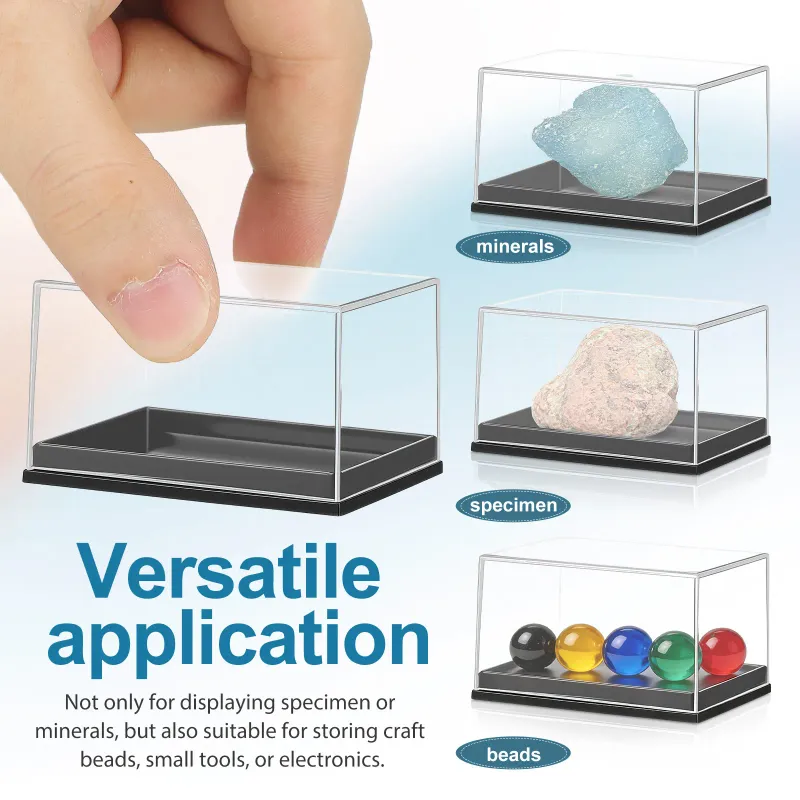 4Pcs Clear Specimen Display Boxes 4