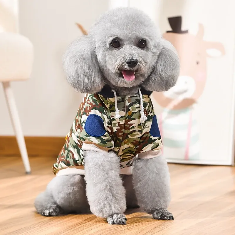 Camo Dog Hoodie with Denim Hat 5