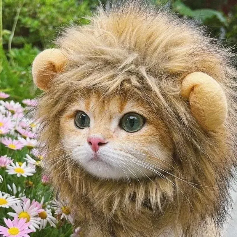 Lion Mane Pet Costume Wig Hat 1