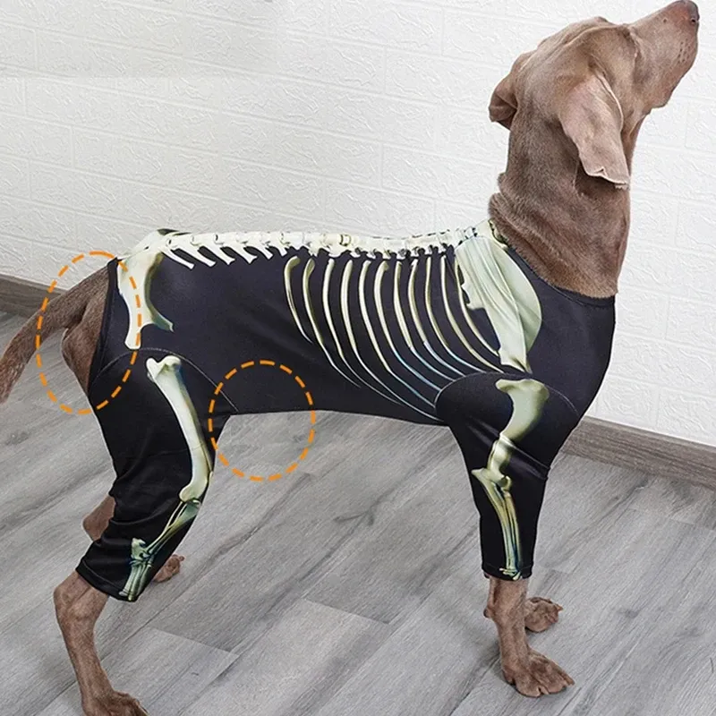 Skeleton Dog Halloween Costume Large 5