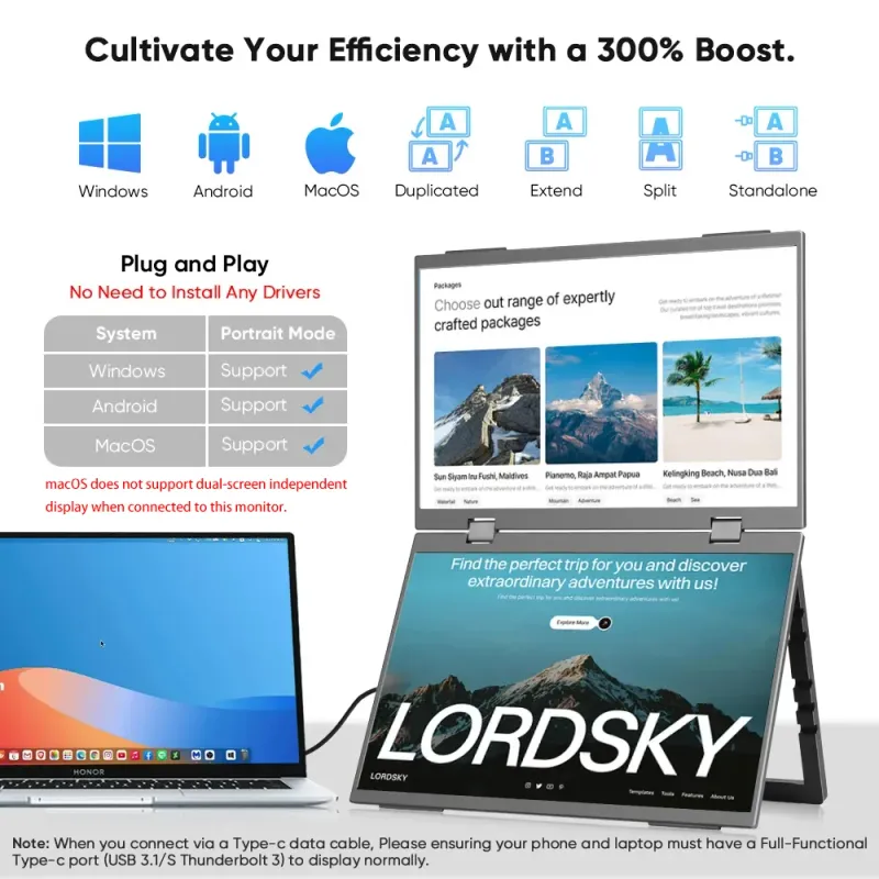 15.6" Portable Dual Monitor 1080P IPS 6