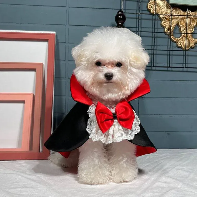 Dog Vampire Cape Halloween Costume 1