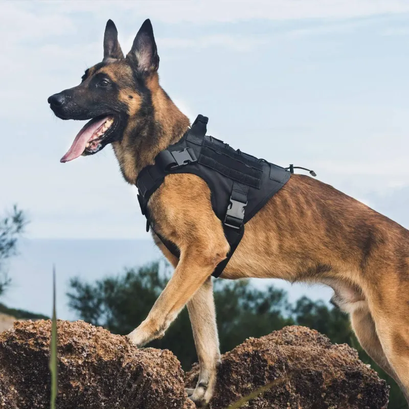 Tactical No-Pull Dog Harness with Handle 3