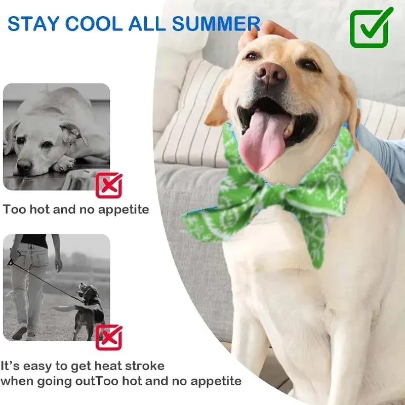 Cooling Scarf Ice Collar for Pets 3