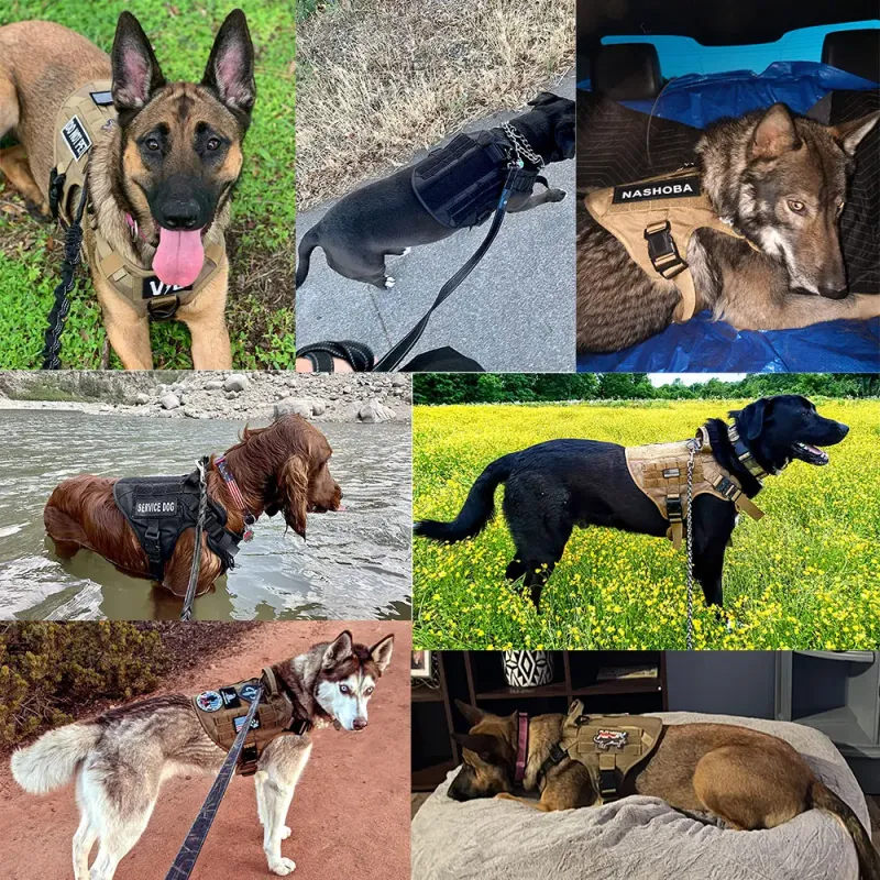 Tactical Dog Training Harness Vest 6