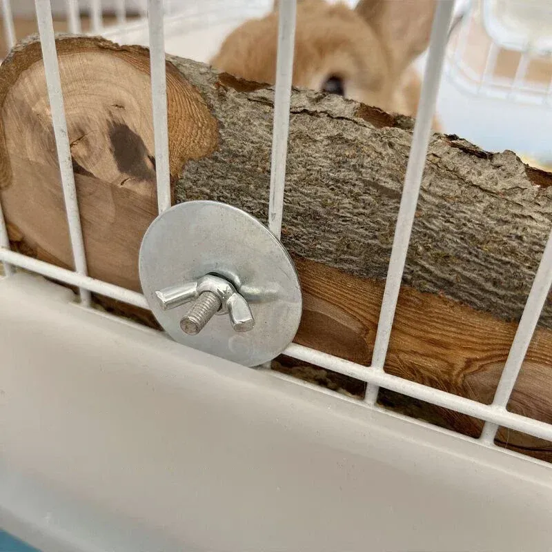 Apple Wood Chew Toy for Small Pets 4