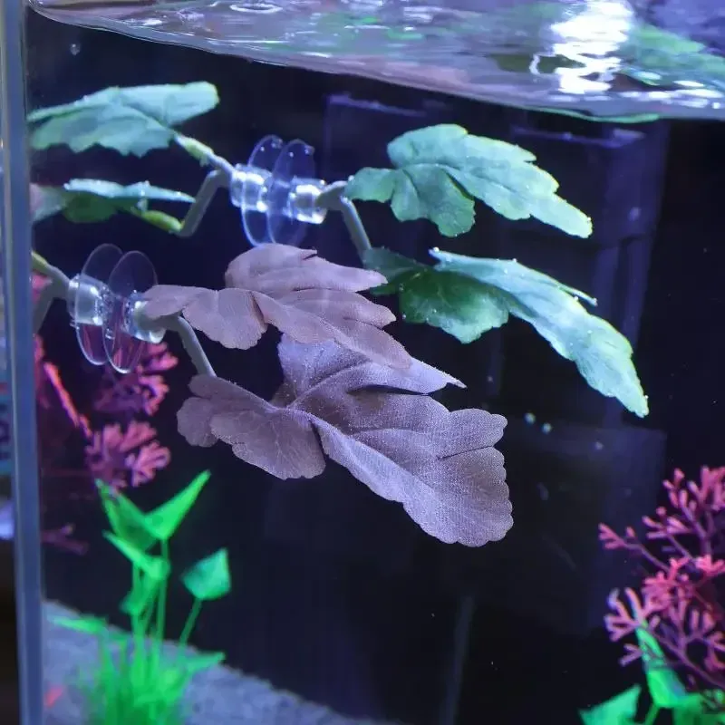 Betta Fish Leaf Hammock with Plant 3