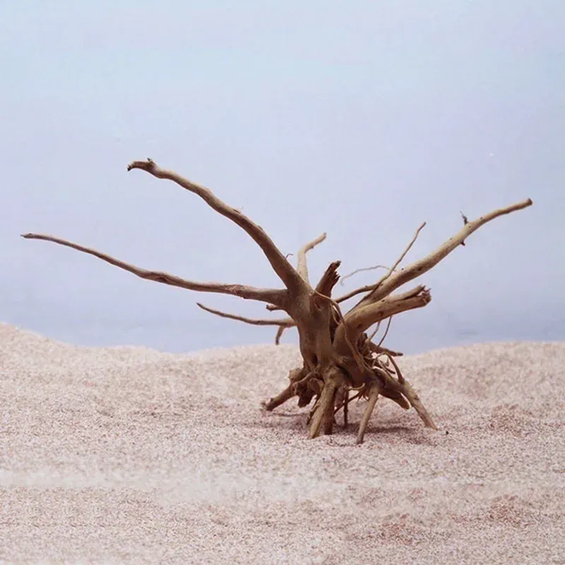 Natural Driftwood Aquarium Ornament 6