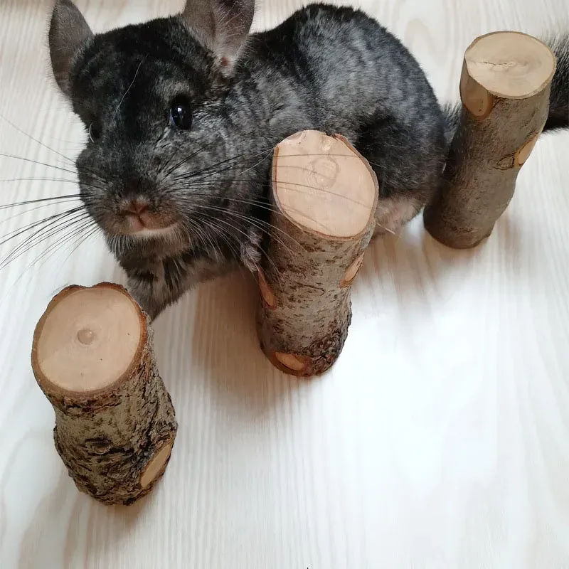 Natural Apple Wood Hamster Toy 1