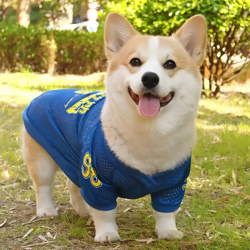 LA Style Dog Cooling Vest 6