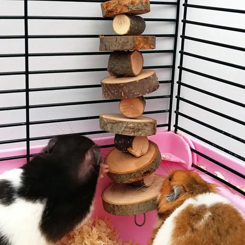 Natural Wood Chew Sticks for Small Pets 2