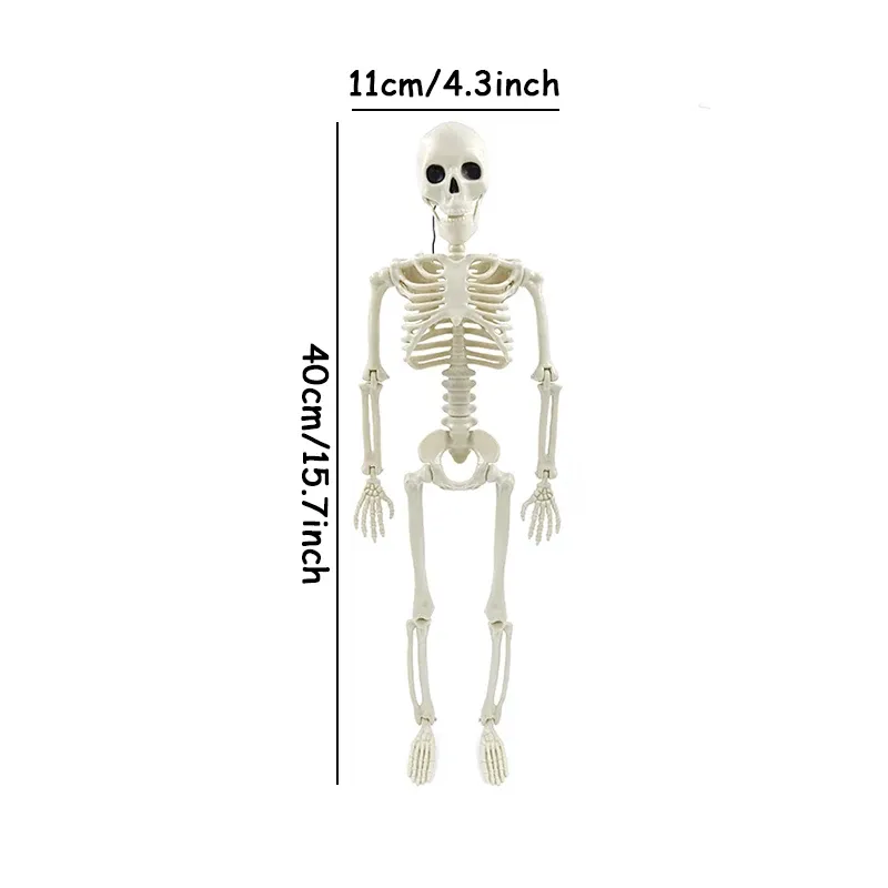 Halloween Skeleton Decoration Prop 2