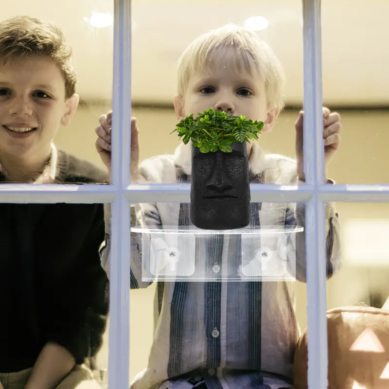 Transparent Window Plant Shelf 5