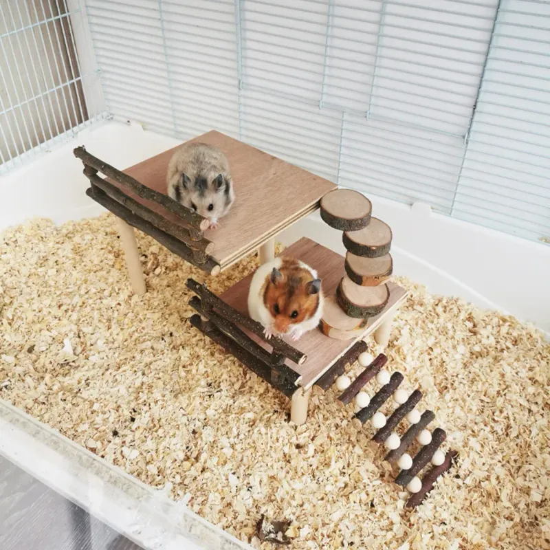 Hamster Climbing Platform Playground 5