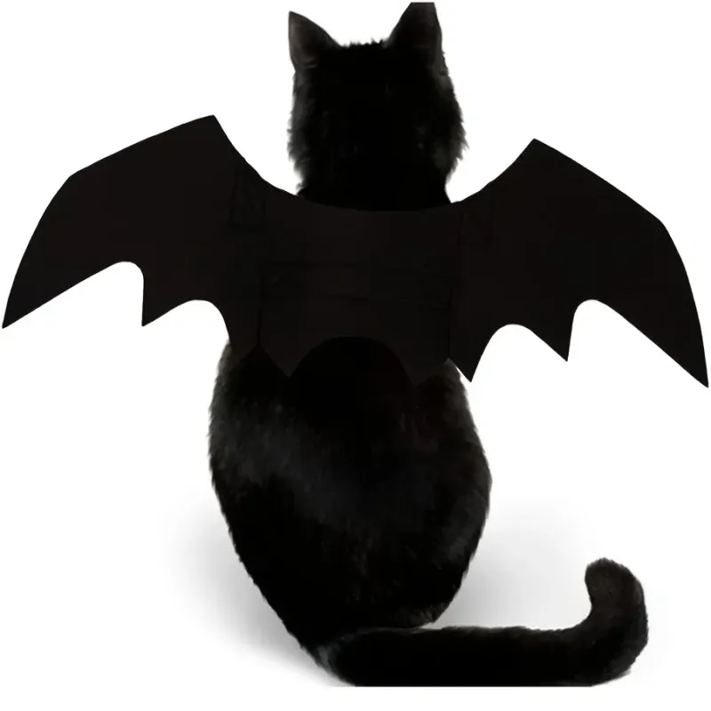 Bat Felt Wings Halloween Pet Costume 5