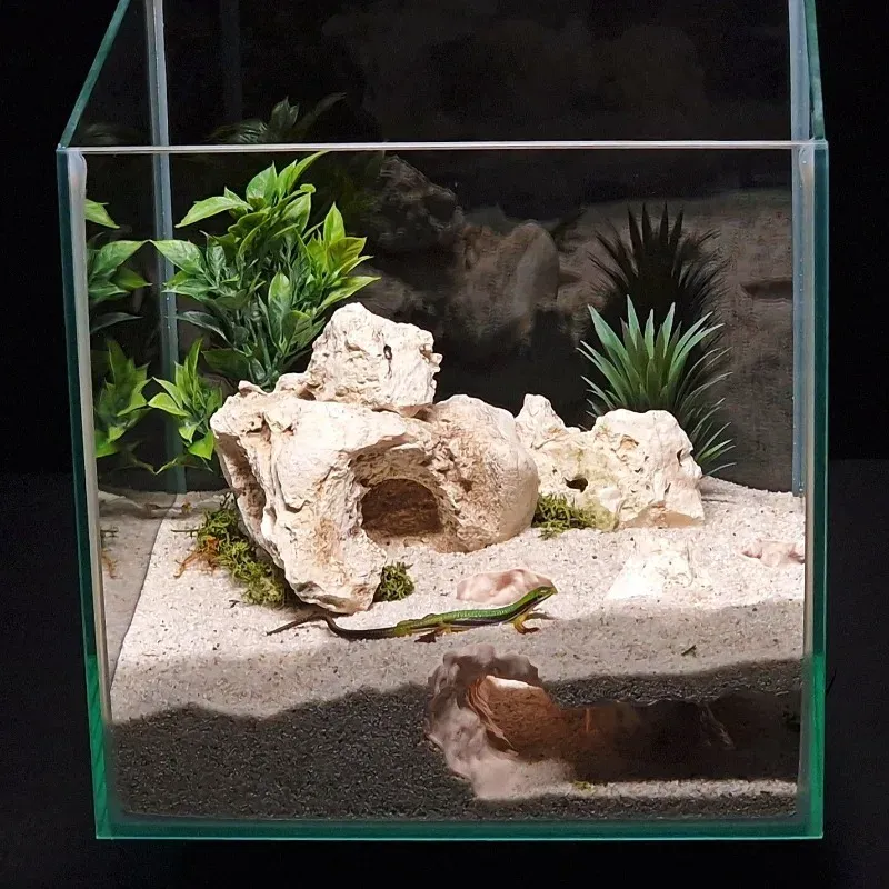 3D Printed Aquarium Tunnel & Cave Decor 2