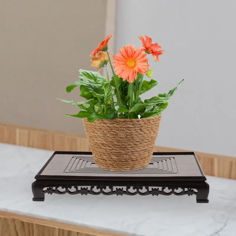 Plastic Plant Stand Display Shelf 4