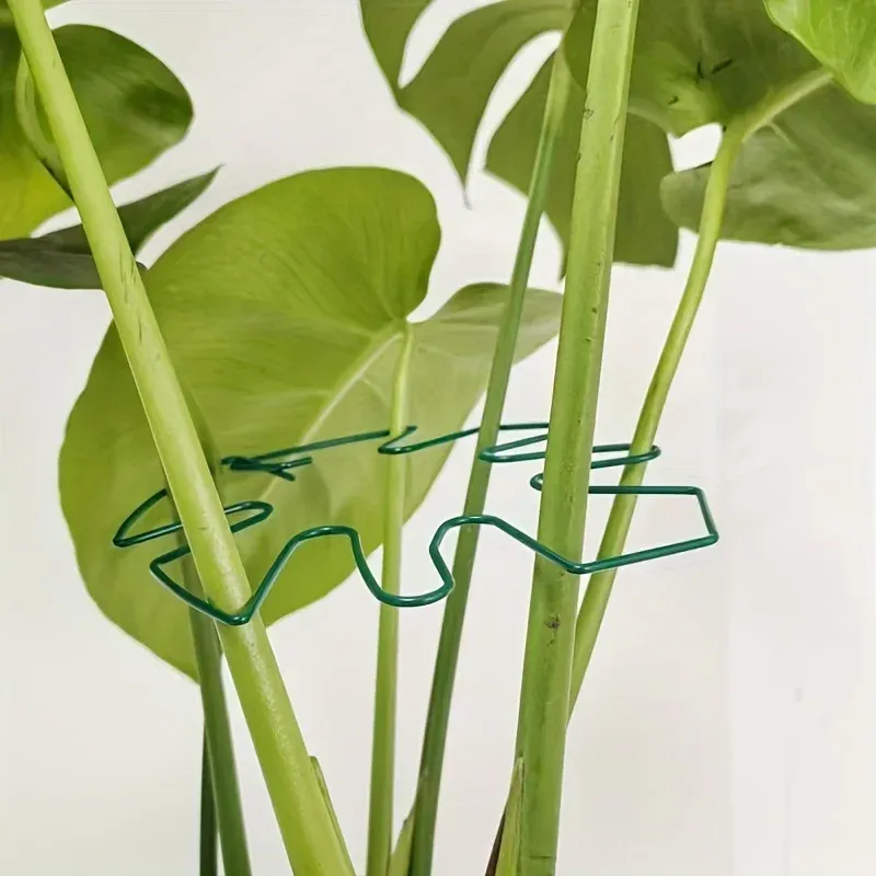Large Hanging Plant Stand with Iron Hooks 2