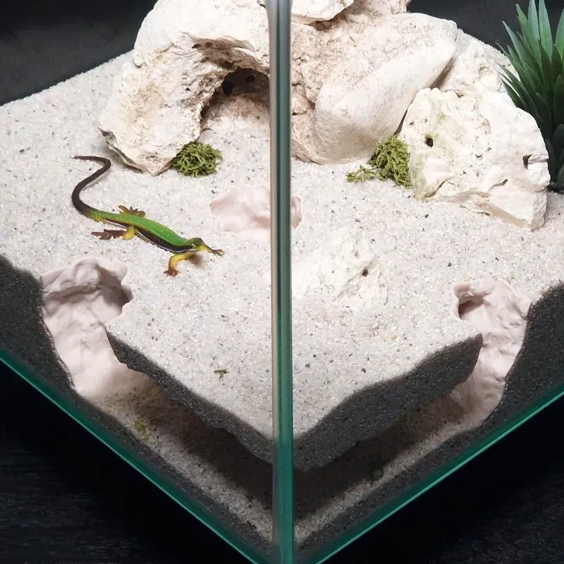 3D Printed Aquarium Tunnel & Cave Decor 3