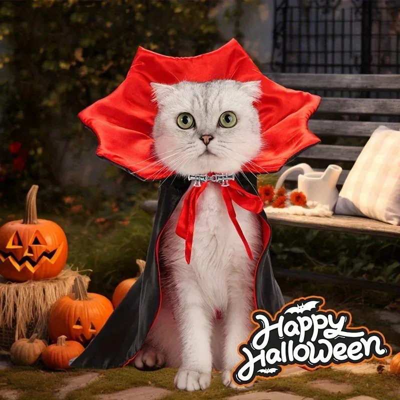 Vampire Cat Halloween Costume Set 6